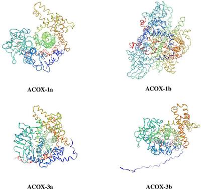 Molecular cloning, tissue distribution and nutritional regulation of four acyl-coenzyme A oxidase (acox) isoforms in Scylla paramamosain